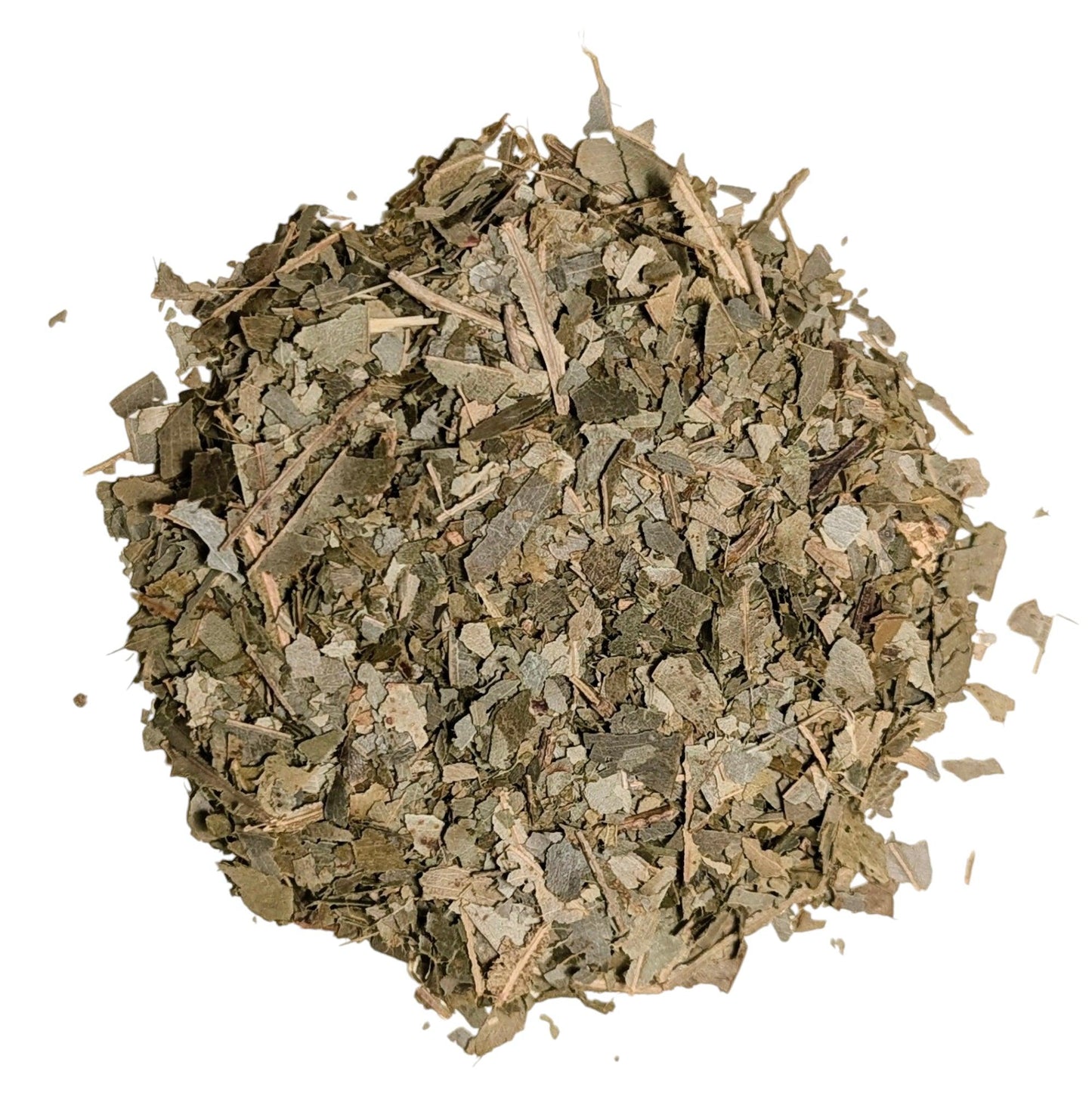 Eucalyptus Leaf - Black Dog Teas