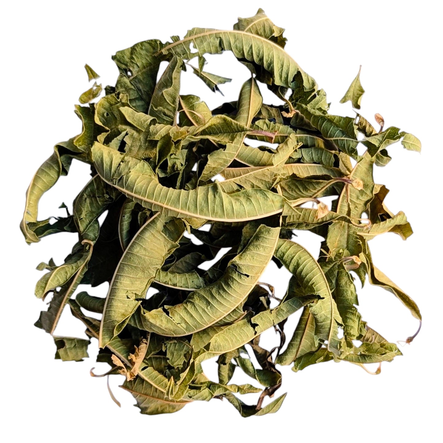 Lemon Verbena