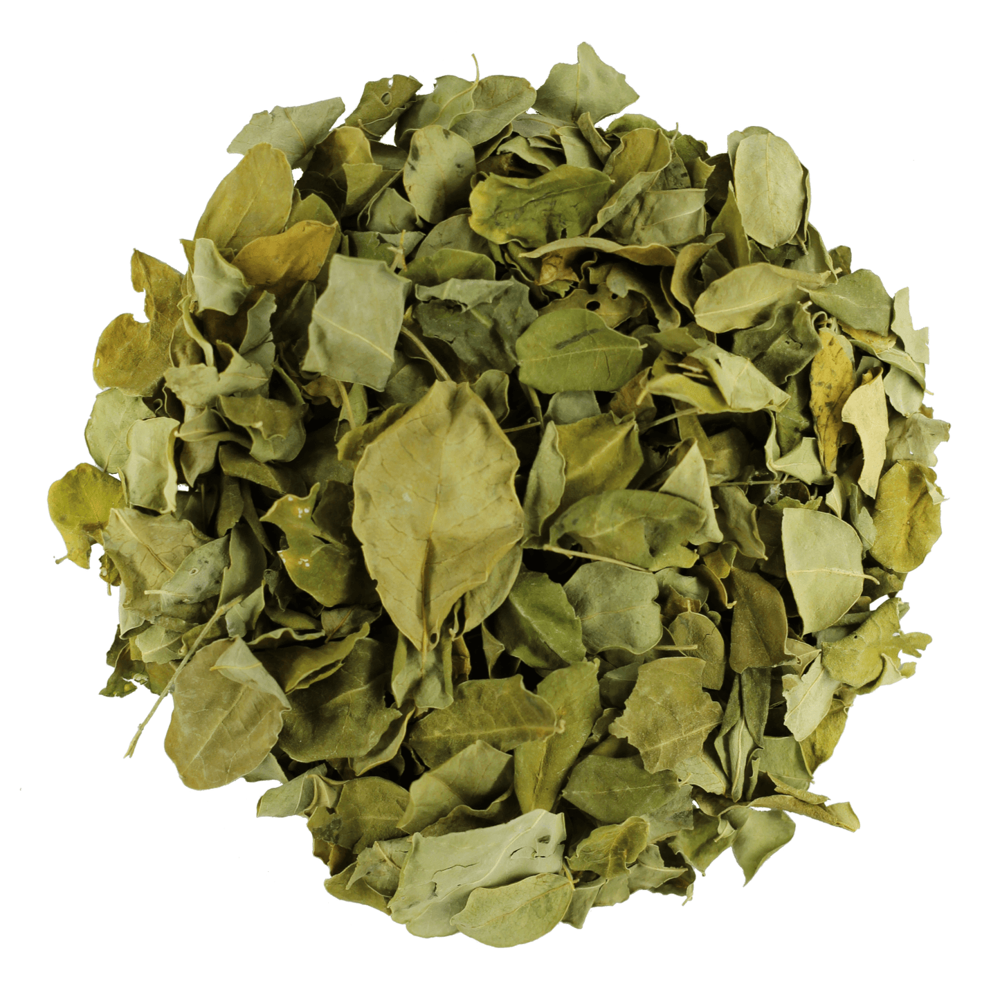 Moringa - Black Dog Teas