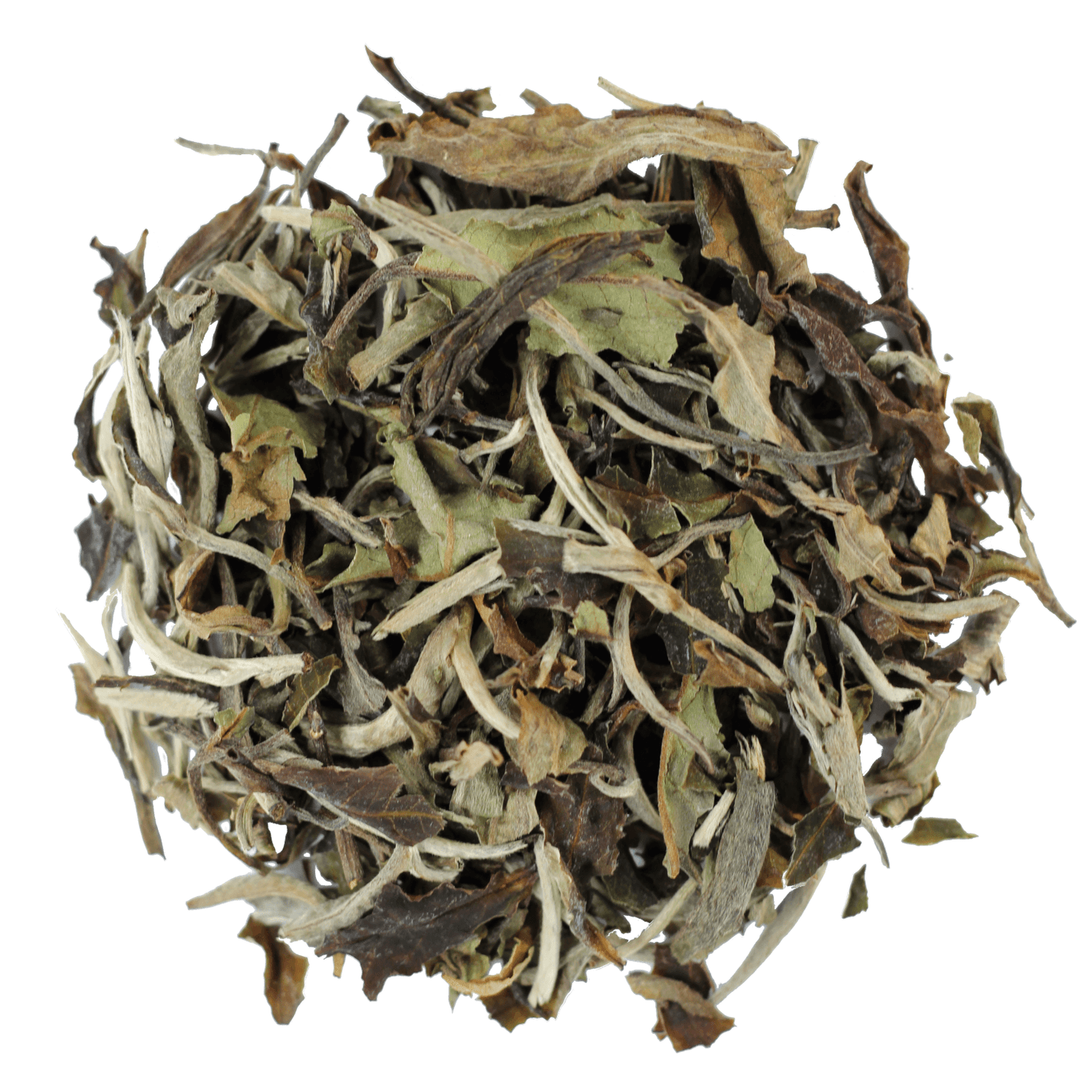China White Peony - Black Dog Teas