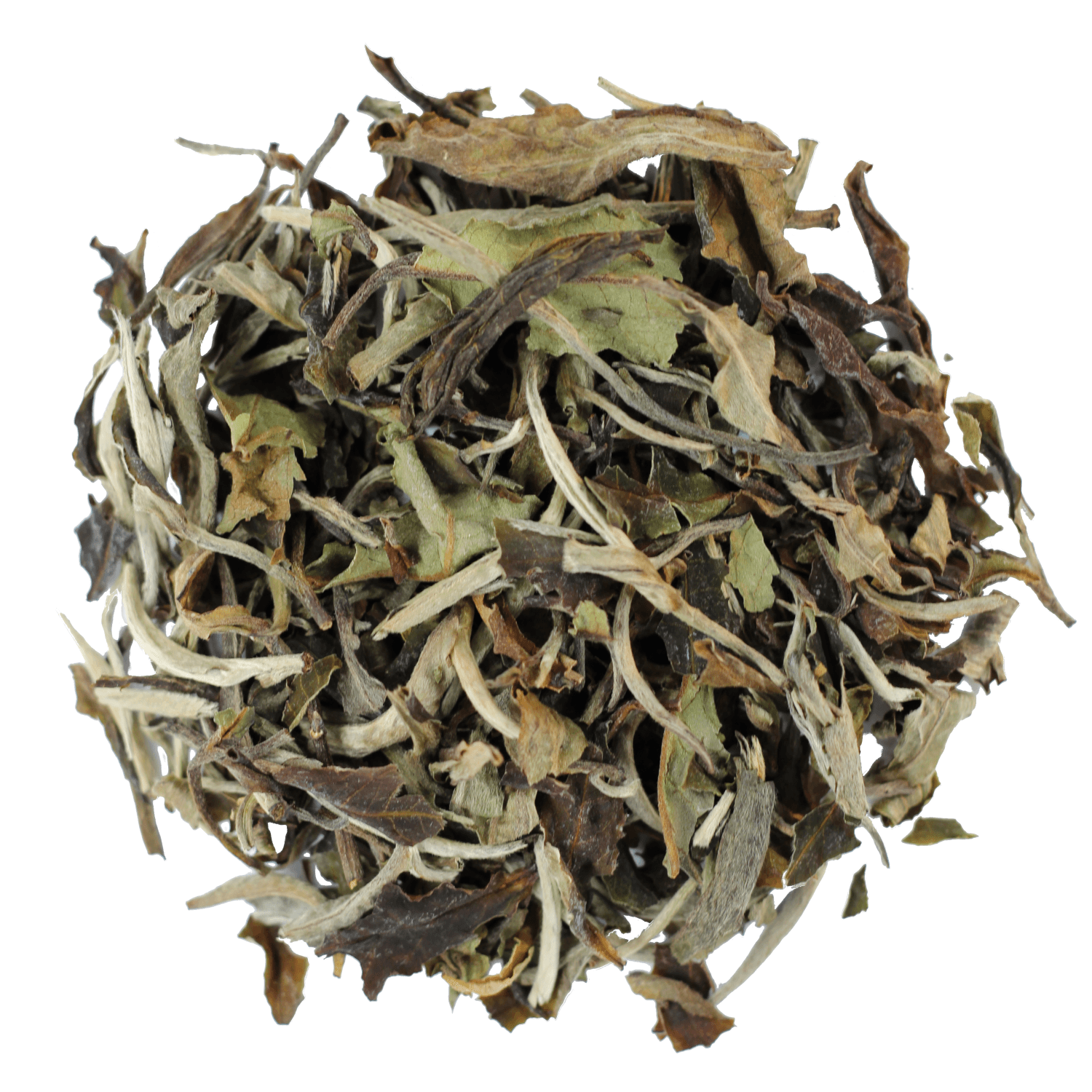 China White Peony - Black Dog Teas