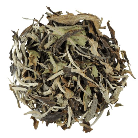 China White Peony - Black Dog Teas